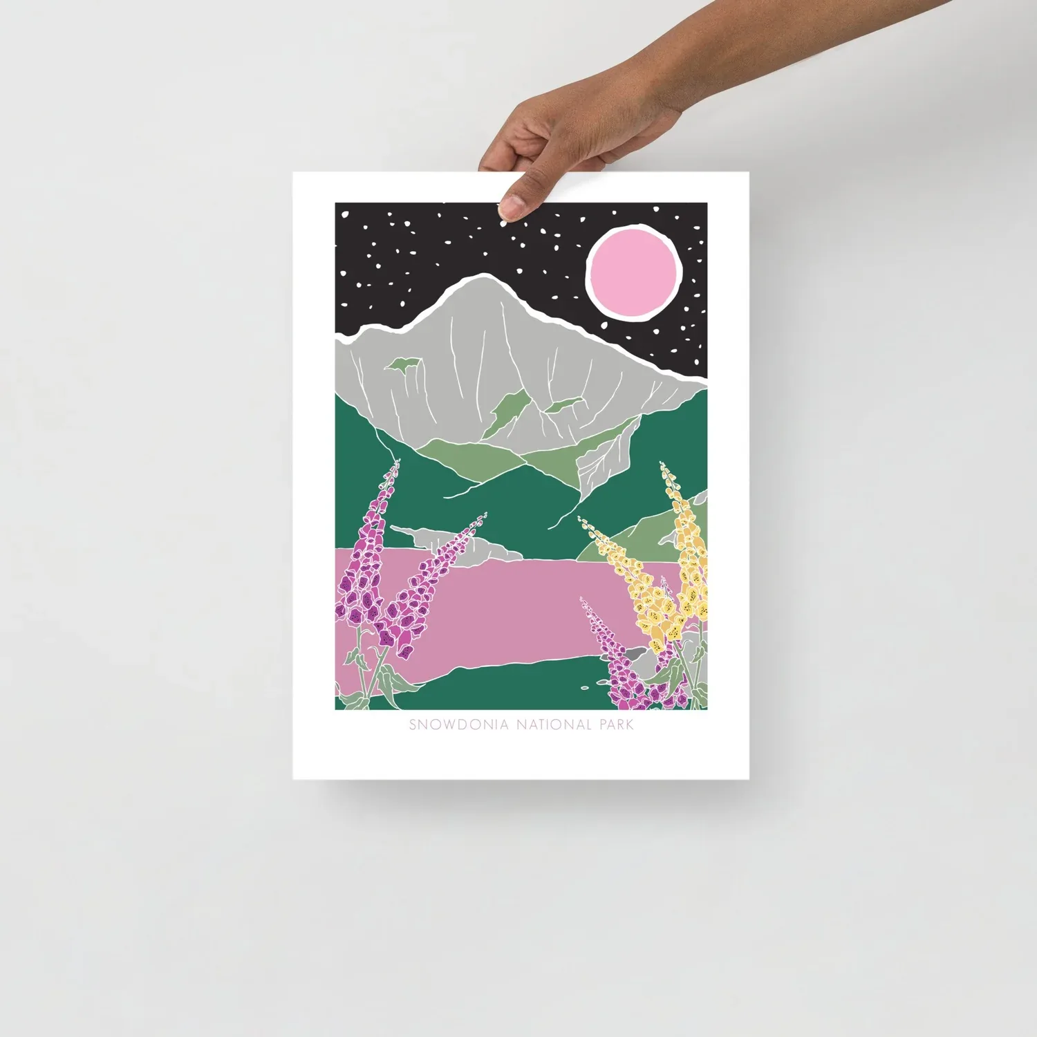 Snowdonia National Park Art Print